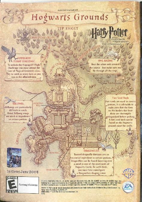 celebrity image gallery: map of hogwarts grounds