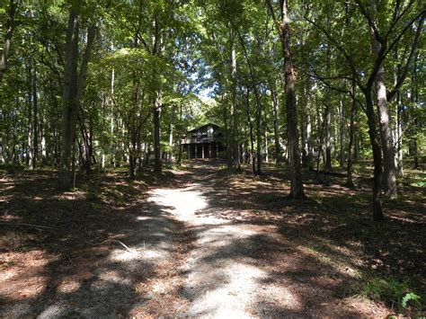Dogwood Lodge