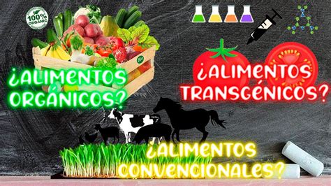 Qu Significa Alimentos Org Nicos Convencionales Y Transg Nicos