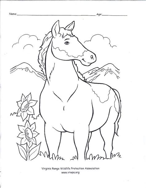 Coloring Page Horse Pdf / Horse Coloring Pages : I love coloring pages of horses!