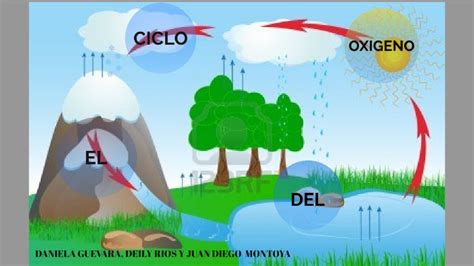 Ciclo Del Oxigeno Dibujo Infoupdate Org