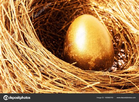 Golden Egg In The Gold Nest Stock Photo Ninell 160868760