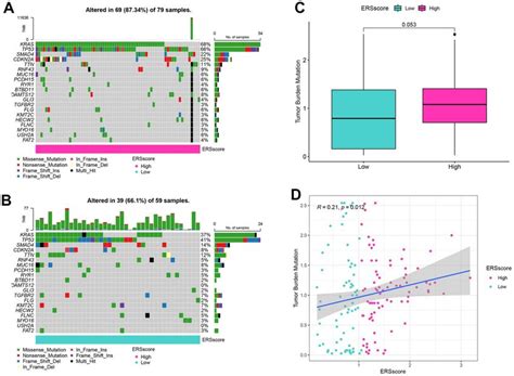 Mutation Analysis A Waterfall Map Of Mutation Landscape Within The Download Scientific