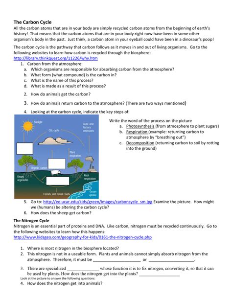 Nutrient Cycles Worksheet Answers Wordworksheet