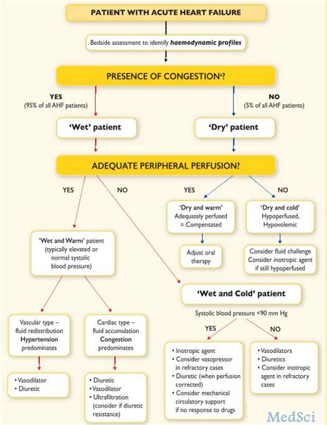 张宇辉教授2016ESC心力衰竭新指南解读一急性心力衰竭 MedSci cn
