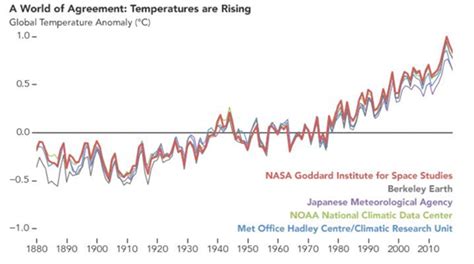 5 Falsos Mitos Sobre El Cambio Climático