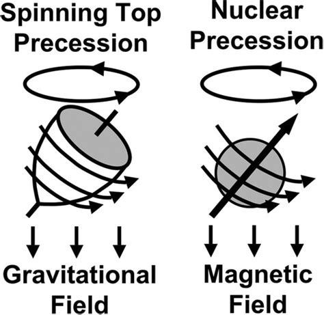 Fundamental Physics Of MR Imaging RadioGraphics