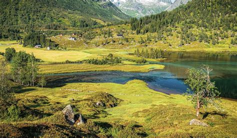 Uteplassen Sogndal Hytter Og Camping Anmeldelser Bilder