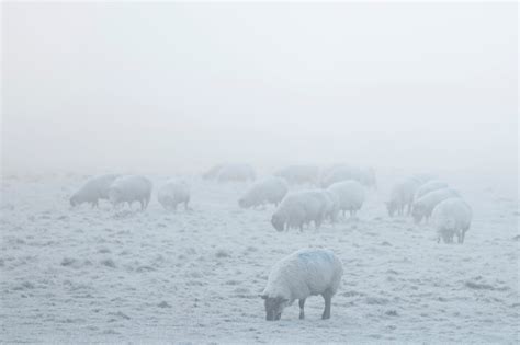 Brutal Storm In Us Canadians Face Extreme Winter World In Throes Of