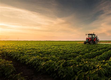 Un Agricultor Din Moldova Produce Ast Zi De Ori Mai Mult Dec T N