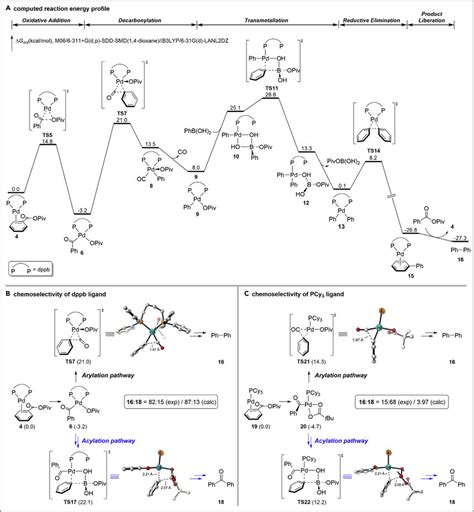 Dft Calculated Reaction Energy Profile And Chemoselectivities Of