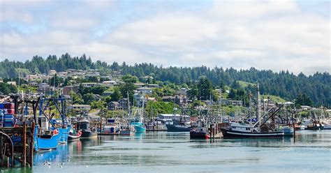 Here Is What To Do In Newport Oregon On Your Upcoming Trip The Good