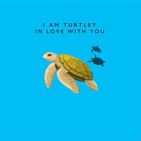 I Am Turtley In Love With You Turtle Quotes Turtle Love Turtle Time