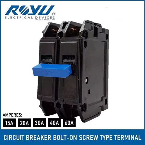 Circuit Breaker Royu 15A 60A 2P Bolt On Shopee Philippines