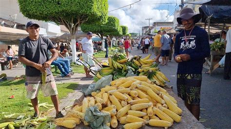 Veja As Riquezas Do Nordeste Nessa Feira Que Rica Em Cultura E