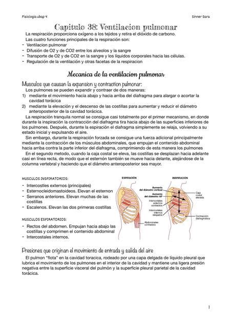 Mec Nica De La Ventilaci N Pulmonar Udocz Creators Udocz