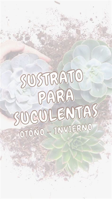 manitas suculentas on Instagram Como preparo mi sustrato para otoño