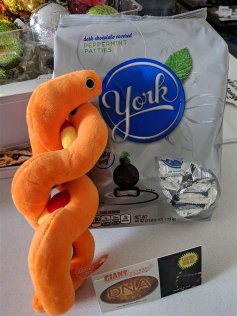 1 best u/princesspuppycat images on Pholder | This couldn't have come ...