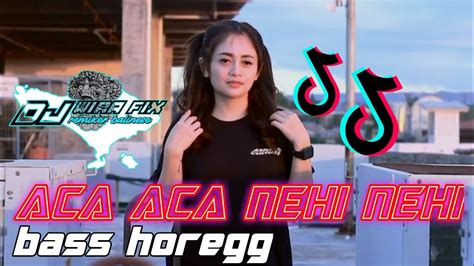 DJ VIRAL TIKTOK DJ Aca Aca Nehi Nehi Slow Full Bass HOREGG Gler Cocok