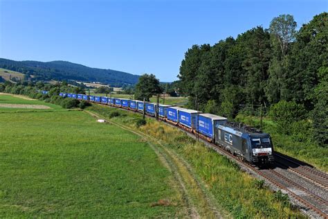 Am Morgen Des Juli Begegnete Mir Bei Odensachsen Im