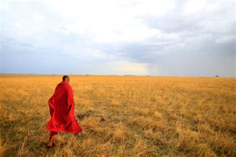 African Savanna Pure Wildlife Magic