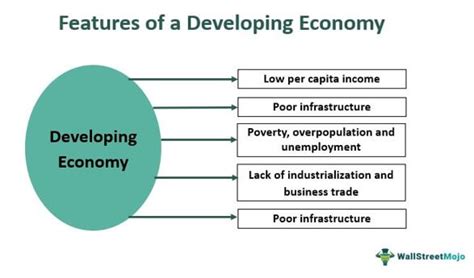 Developing Economy - Definition, Characteristics, Examples