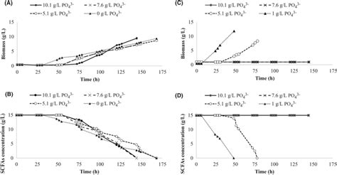 Time Course Of Y Lipolytica Growth And Scfas Consumption In Sm A And