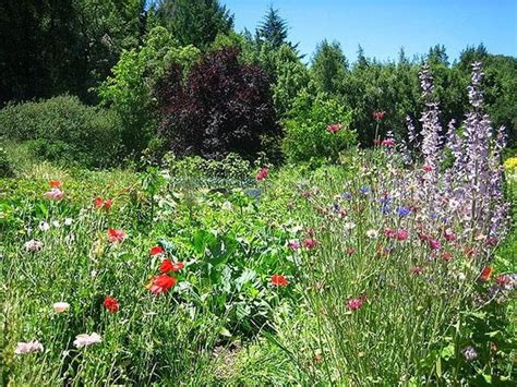 Occidental Photos Featured Images Of Occidental Sonoma County