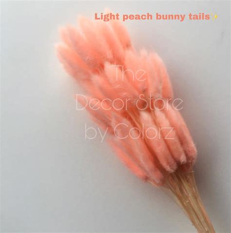 Bunny Tails Light Peach Colorz Lk The Decor Store Sri Lanka