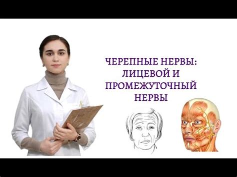 Черепные нервы. Тройничный и лицевой нервы. Часть 2 - YouTube