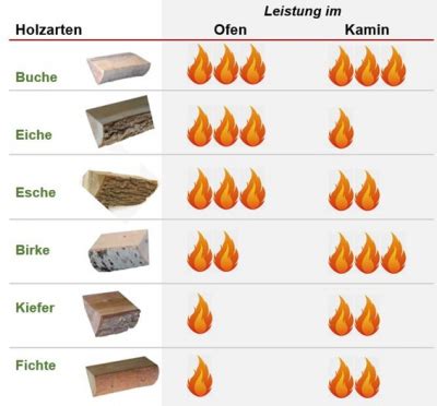 Brennholzkunde Wettinische Forstverwaltung