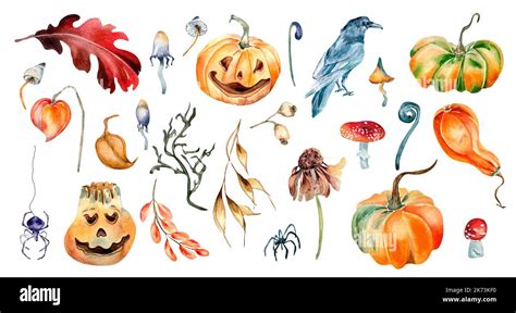 Clipart Of Halloween Colorful Plants Watercolor Illustration Isolated On White Background