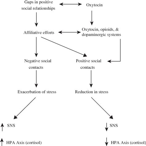 CURRENT DIRECTIONS IN PSYCHOLOGICAL SCIENCE Tend And Befriend