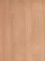 Oregon Pine Furnier Schorn Groh Furniere Veneers