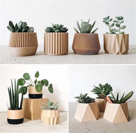 9 Modern Succulent Pots To Show Off Your Tiny Plants Succulent Pots