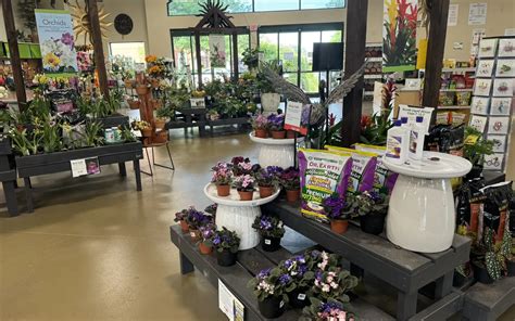 Pike Nurseries Garden Center And Landscape Design Ballantyne Charlotte Nc Pike Nurseries