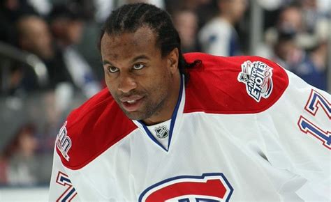 Georges Laraque est à la recherche d un contrat dans la ECHL Source