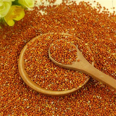 Best Pure Red Millet In Huskchinese Originchina Price Supplier 21food