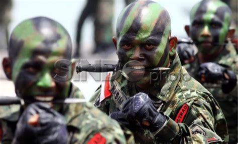 Ramai Kabar Denjaka Sudah Mendarat Di Papua Ini Penjelasan Korps