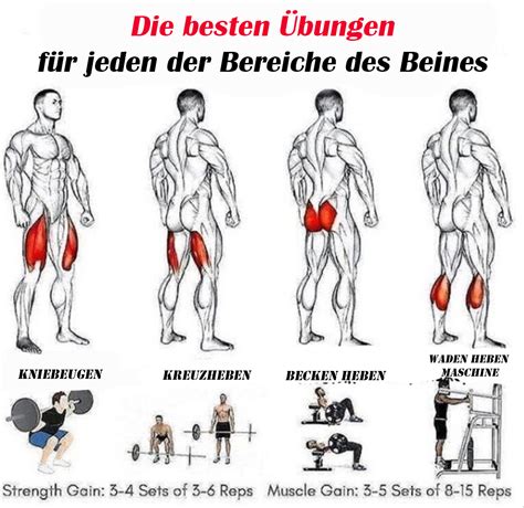 Bungen F R Beine Trainierte K Rper Fitness Studio Training