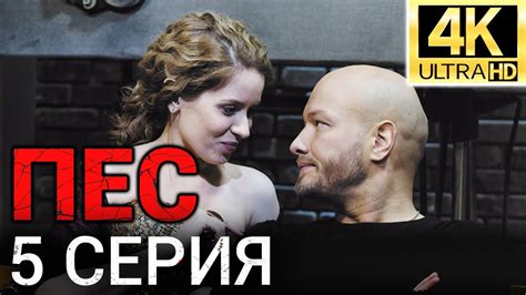 Скачать сериал пес 5 сезон бесплатно в хорошем качестве на телефон ...