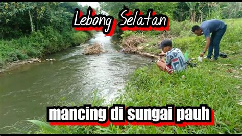 Mancing Di Sungai Youtube