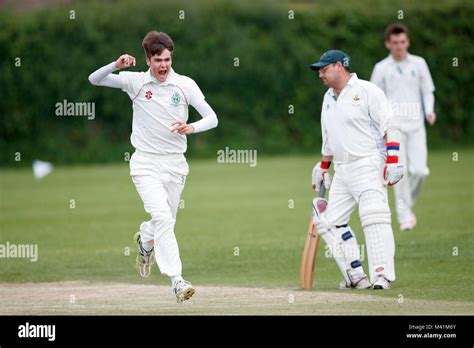 Cricket Bowler Celebrating Wicket Stock Photo Alamy
