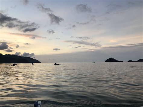 Finding Maleo In Tanjung Matop Wild Sanctuary