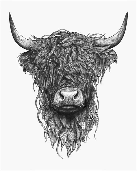 Highland Cow Printables