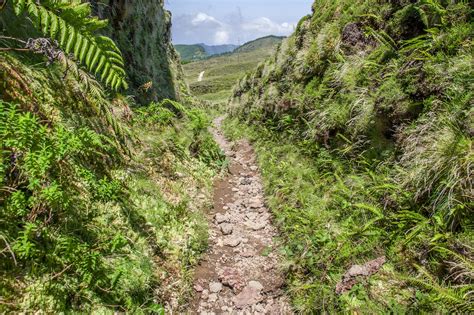 Atlantic Azores Hiking - Free photo on Pixabay - Pixabay