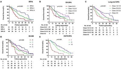 Frontiers New Prognostic System Specific For Epidermal Growth Factor