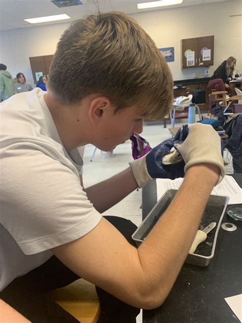 2023 Oyster Dissection Mrs Moores Science Site