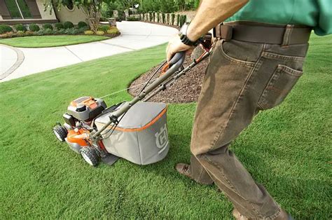 When To Cut Grass after Overseeding (And why it is necessary to wait)