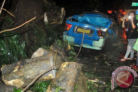 Sebuah Angkot Ringsek Tertimpa Pohon Tumbang Sopir Dilarikan Ke Rs